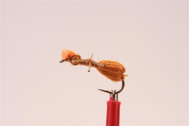Ameise Cinnamon Hair Ant